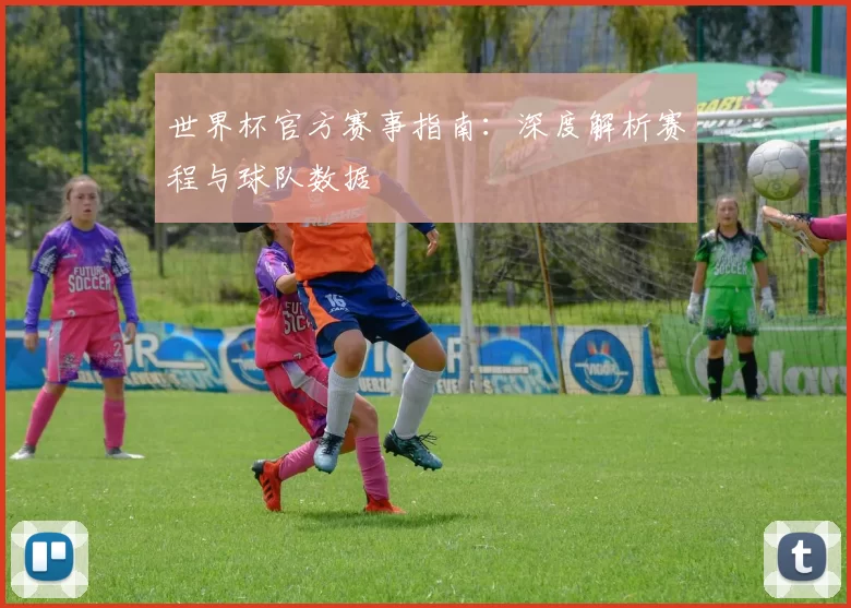 世界杯官方赛事指南：深度解析赛程与球队数据