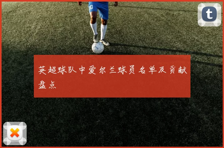 英超球队中爱尔兰球员名单及贡献盘点