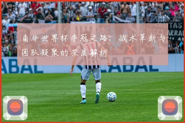 南非世界杯夺冠之路：战术革新与团队凝聚的深度解析