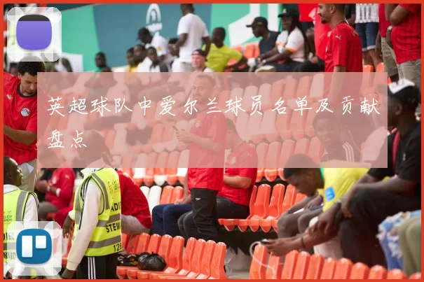 英超球队中爱尔兰球员名单及贡献盘点