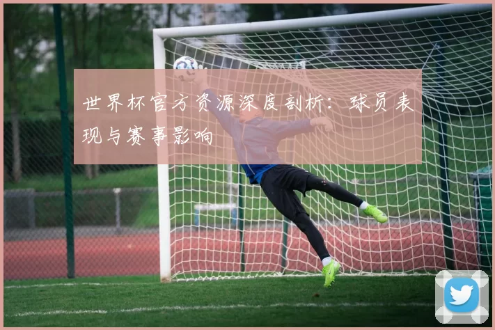 世界杯官方资源深度剖析：球员表现与赛事影响