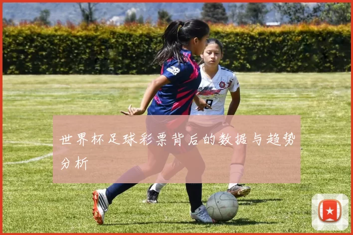 世界杯足球彩票背后的数据与趋势分析