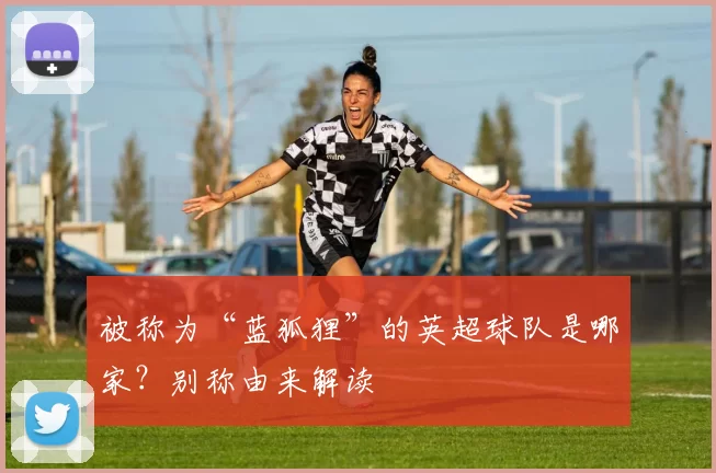 被称为“蓝狐狸”的英超球队是哪家?别称由来解读