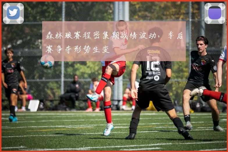 森林狼赛程密集期战绩波动，季后赛争夺形势生变
