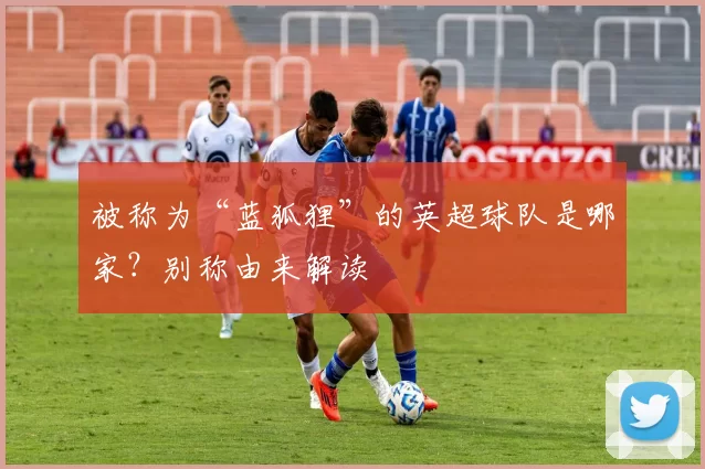 被称为“蓝狐狸”的英超球队是哪家?别称由来解读
