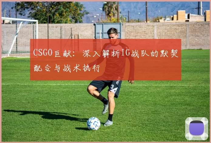 CSGO巨献：深入解析IG战队的默契配合与战术执行