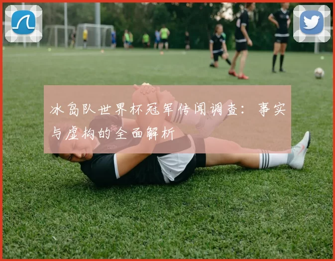 冰岛队世界杯冠军传闻调查:事实与虚构的全面解析